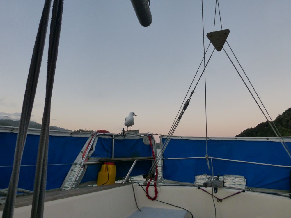 2015 Photo collection