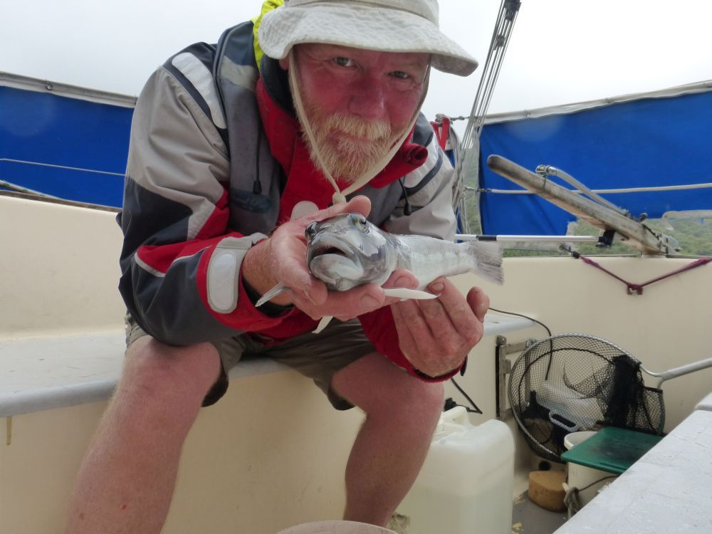 2015 Photo collection