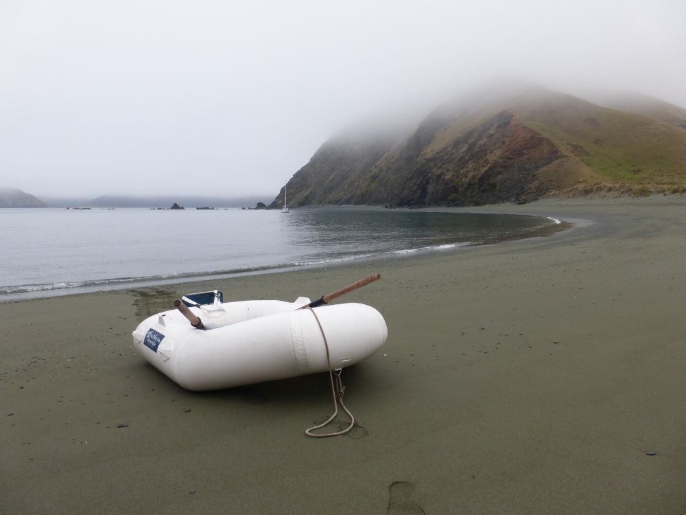 2015 Photo collection