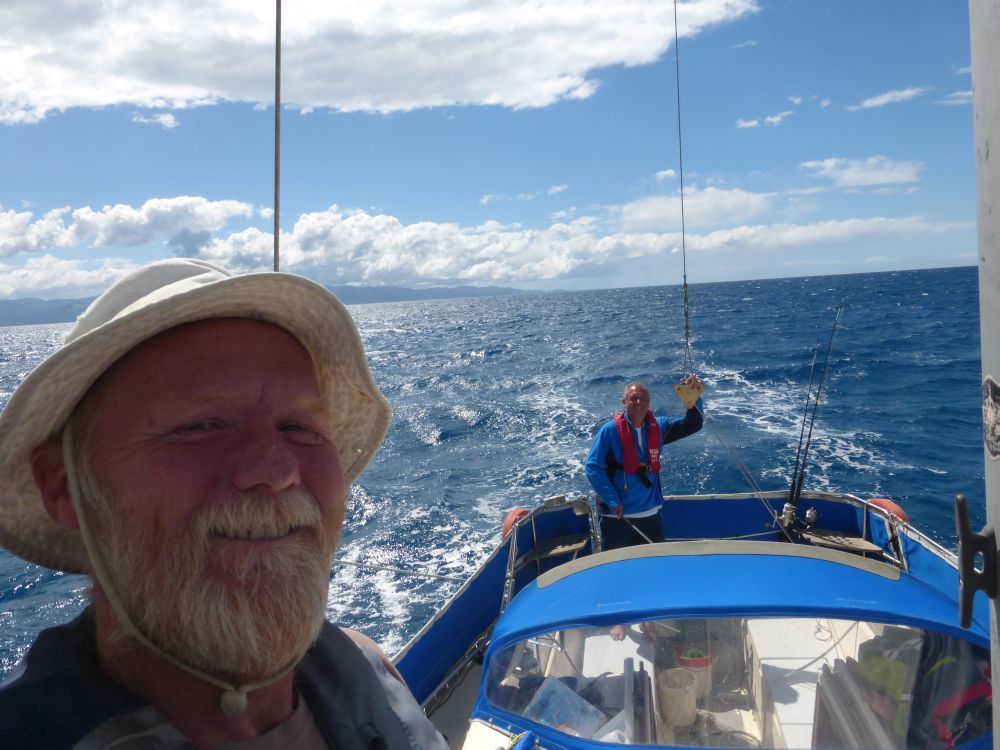 2015 Photo collection