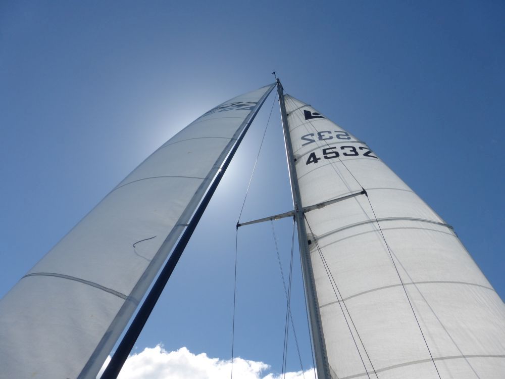 2015 Photo collection