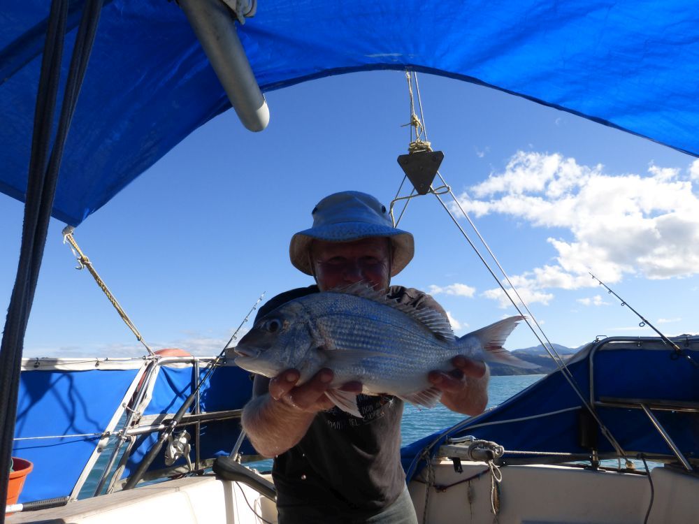 2015 Photo collection