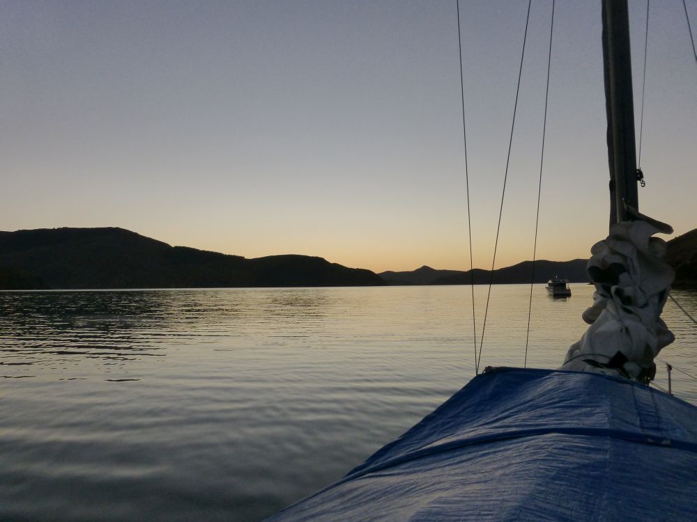 2015 Photo collection