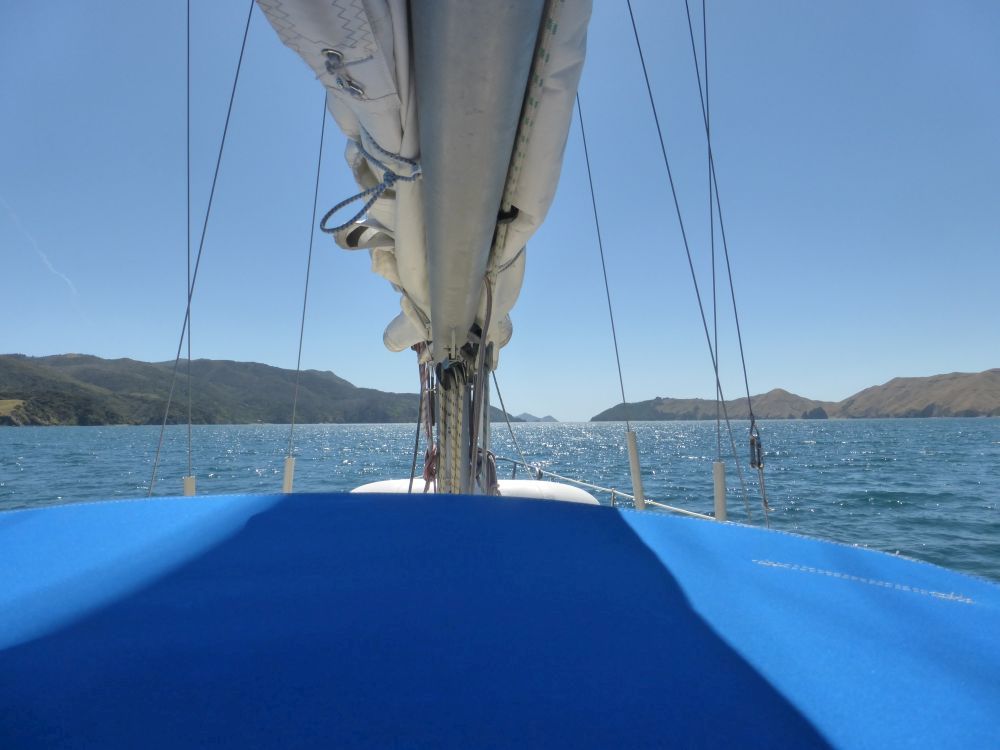 2015 Photo collection