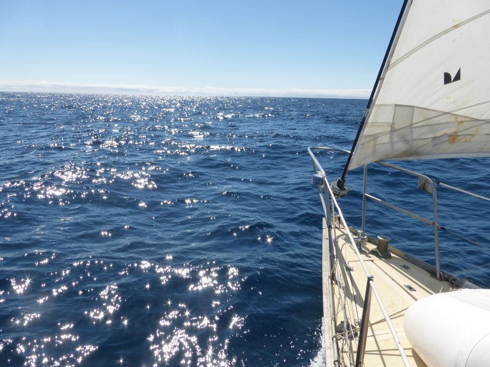 2015 Photo collection