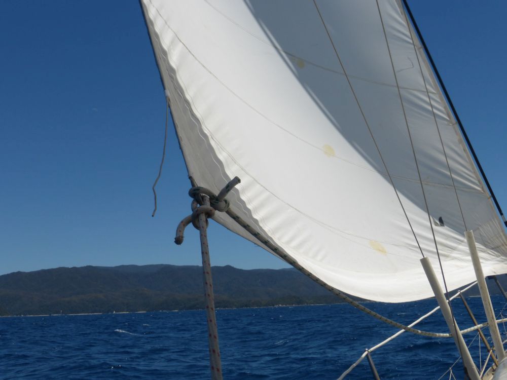 2015 Photo collection