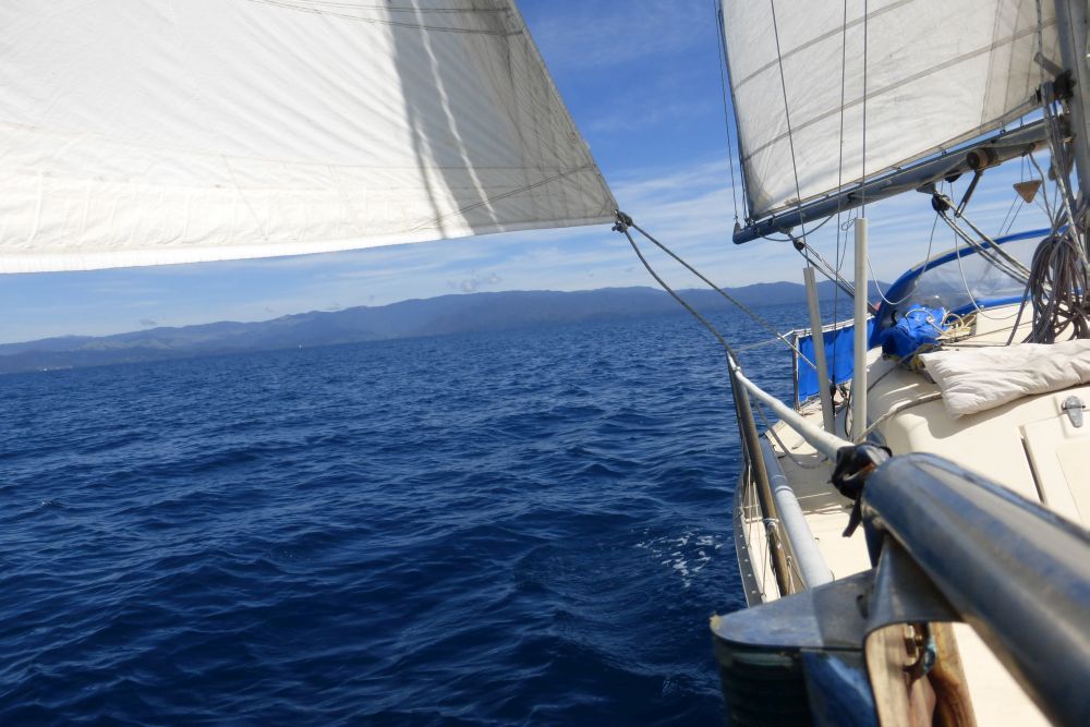 2016 Photo collection