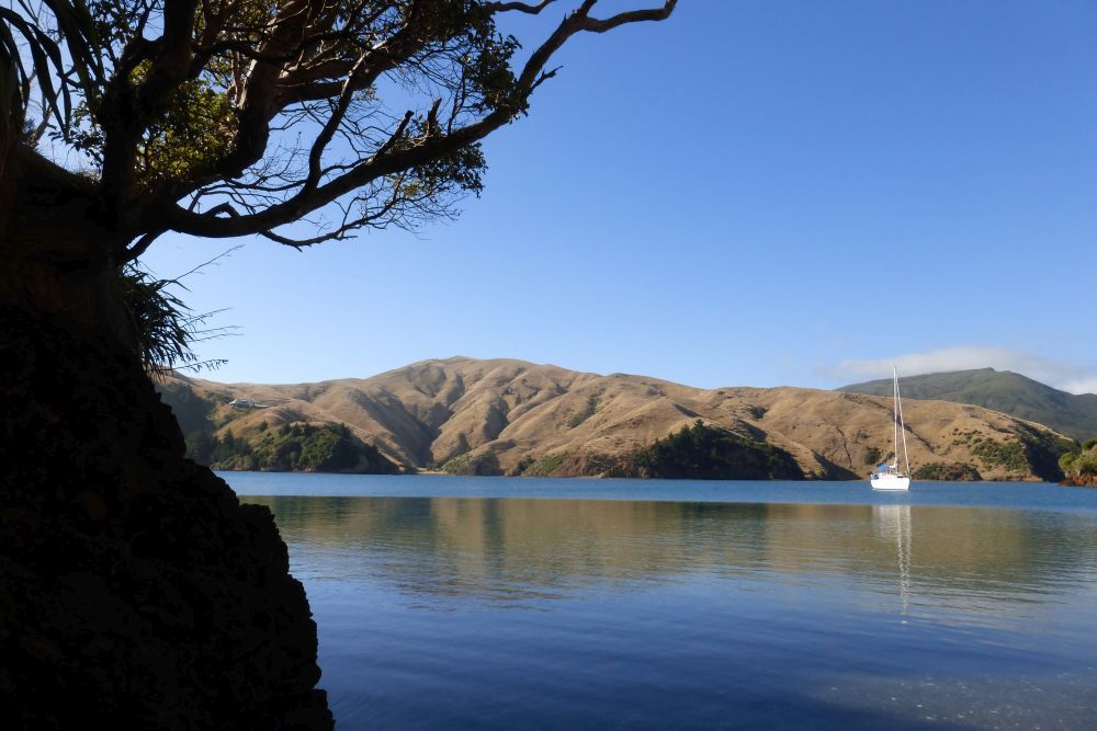 2016 Photo collection