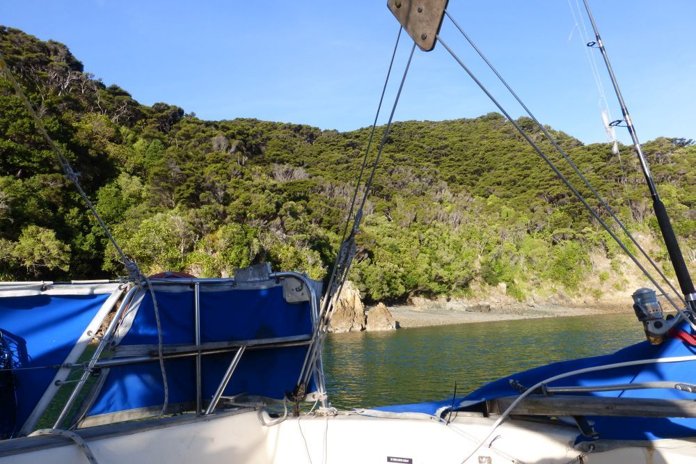 2016 Photo collection