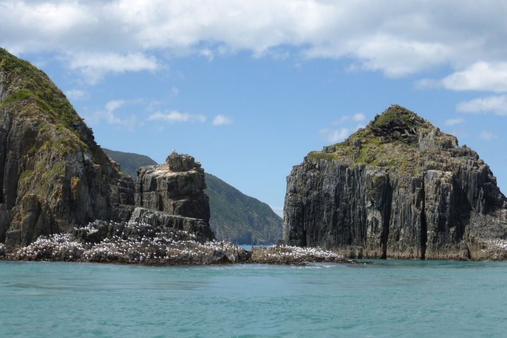 2016 Photo collection