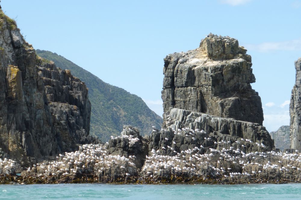 2016 Photo collection