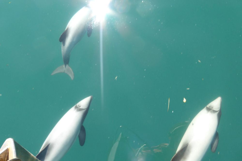 2016 Photo collection