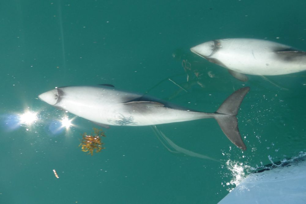 2016 Photo collection