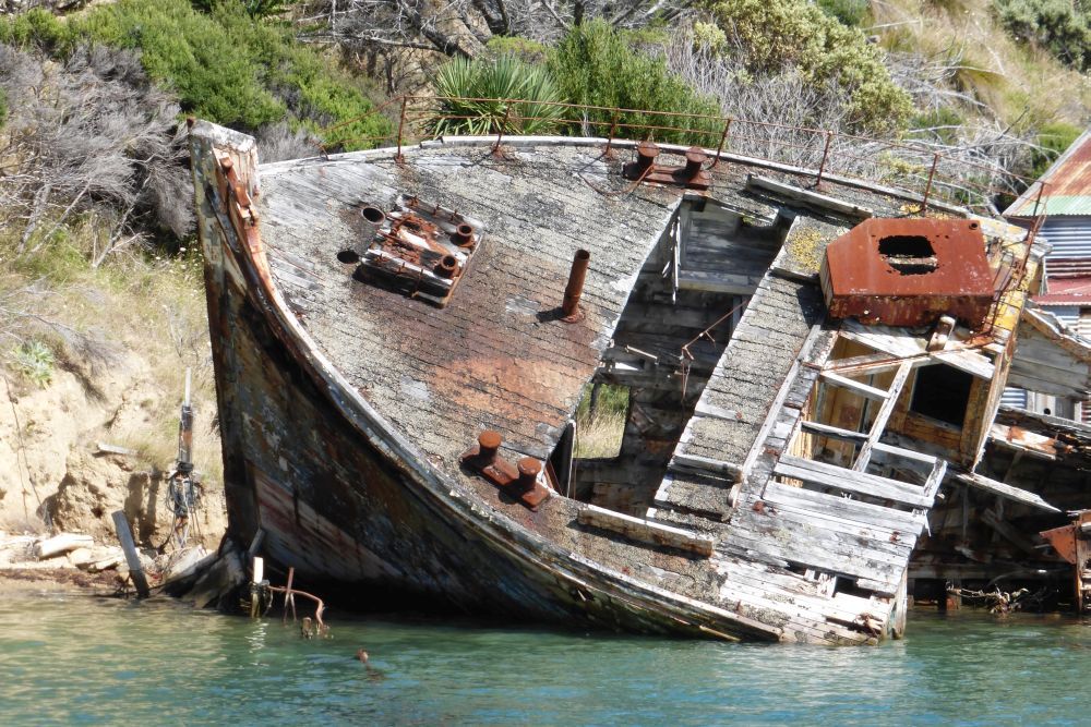 2016 Photo collection