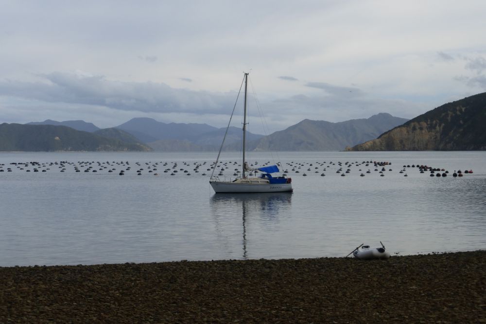 2016 Photo collection