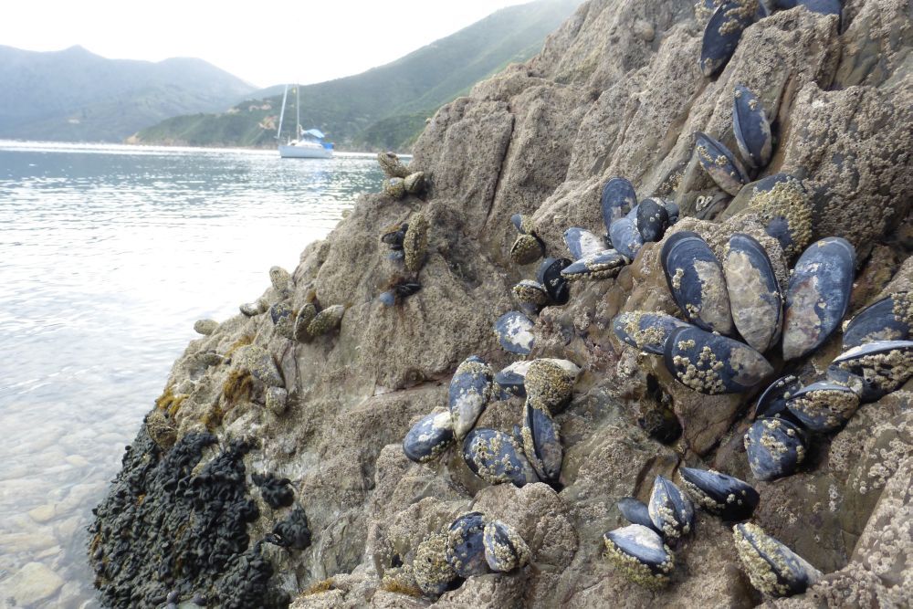 2016 Photo collection