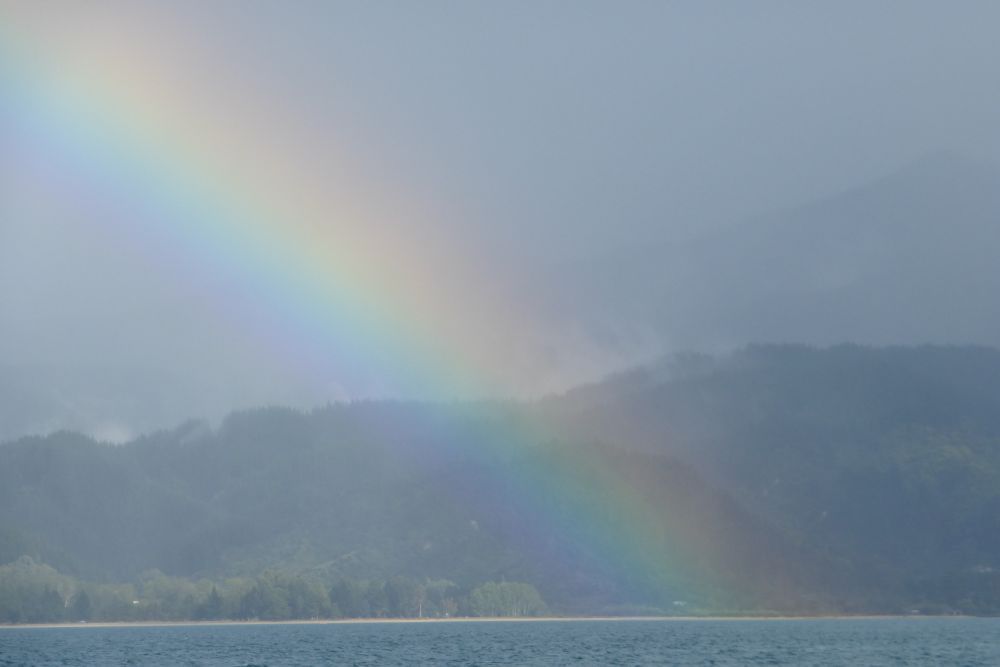 2016 Photo collection