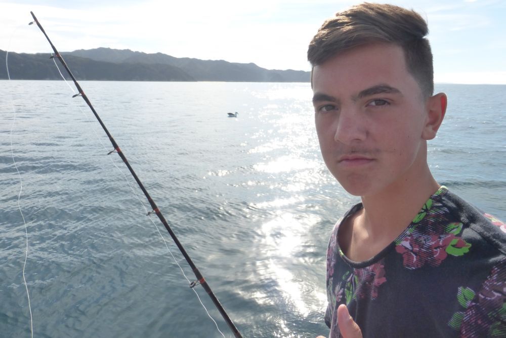 2016 Photo collection