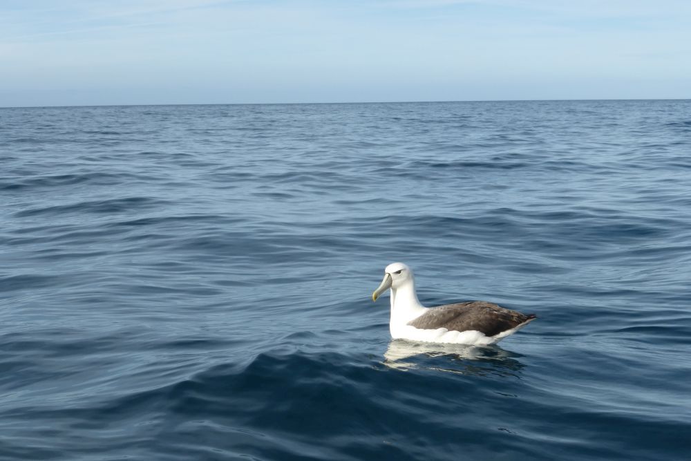 2016 Photo collection