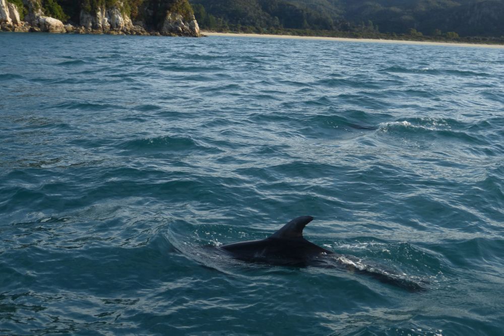 2016 Photo collection