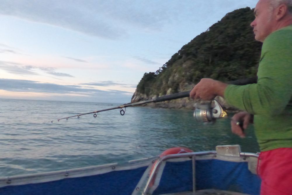 2016 Photo collection