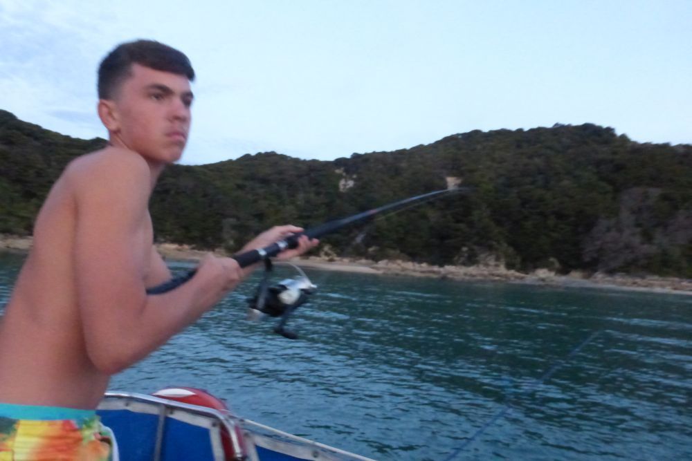 2016 Photo collection