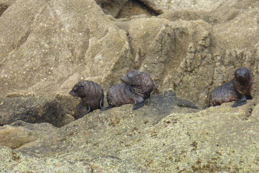 2016 Photo collection