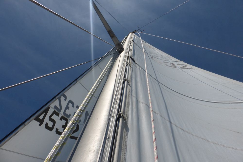 2016 Photo collection