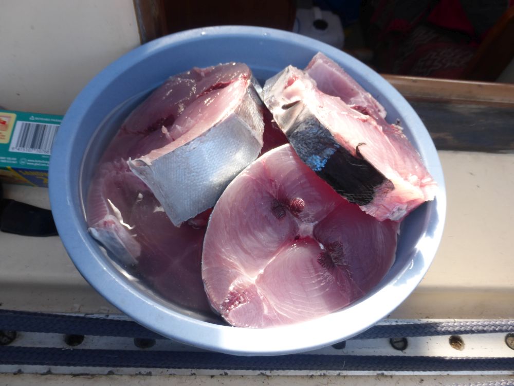 2017 Photo collection