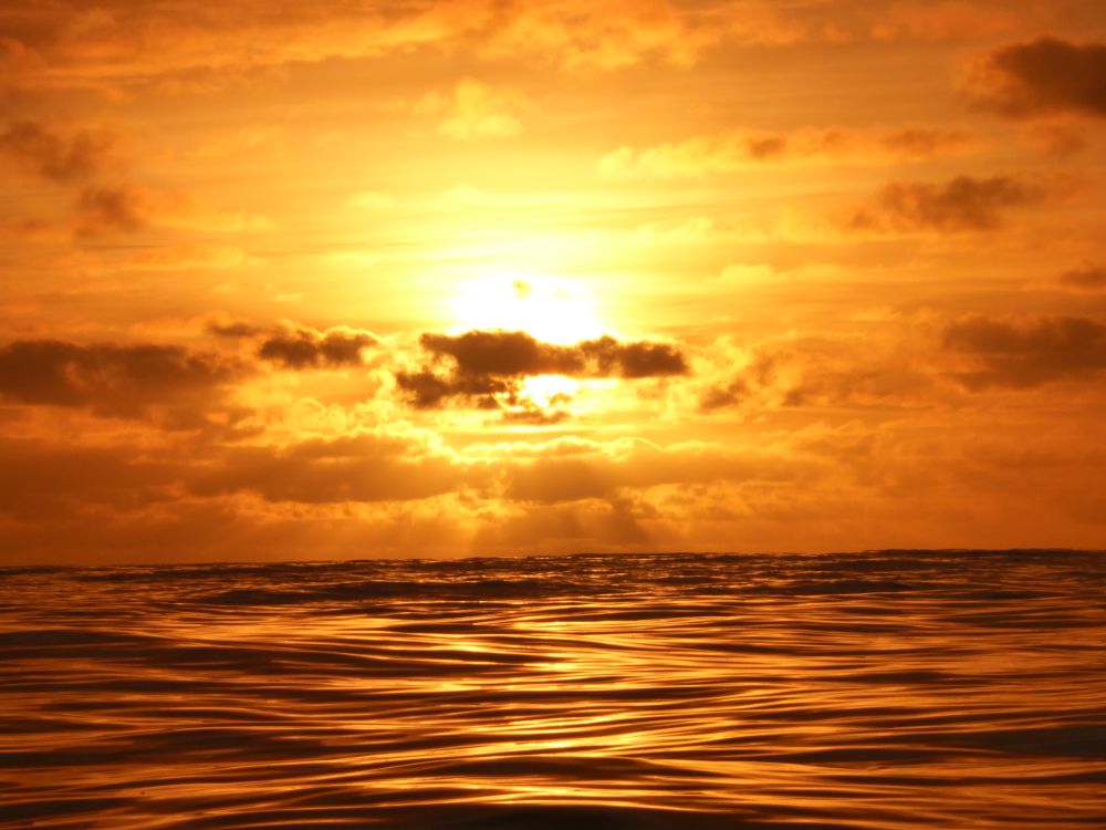 2017 Photo collection