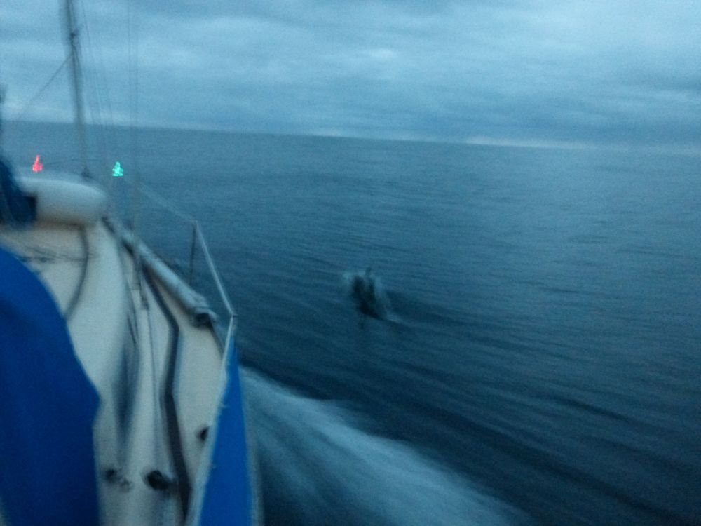 2017 Photo collection