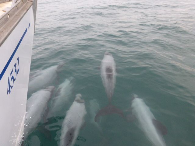 2017 Photo collection