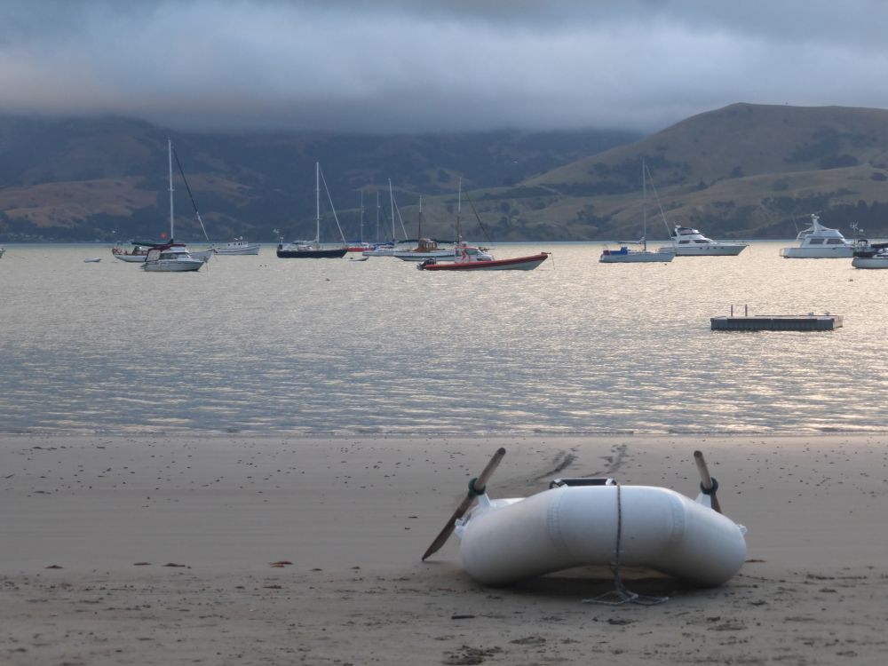 2017 Photo collection