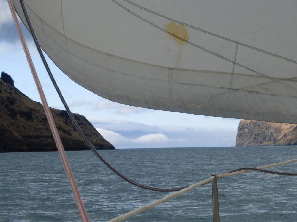 2017 Photo collection