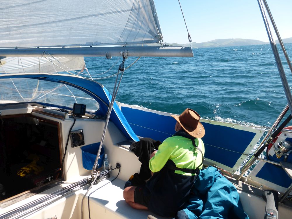 2017 Photo collection