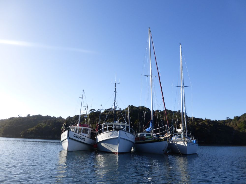 2017 Photo collection