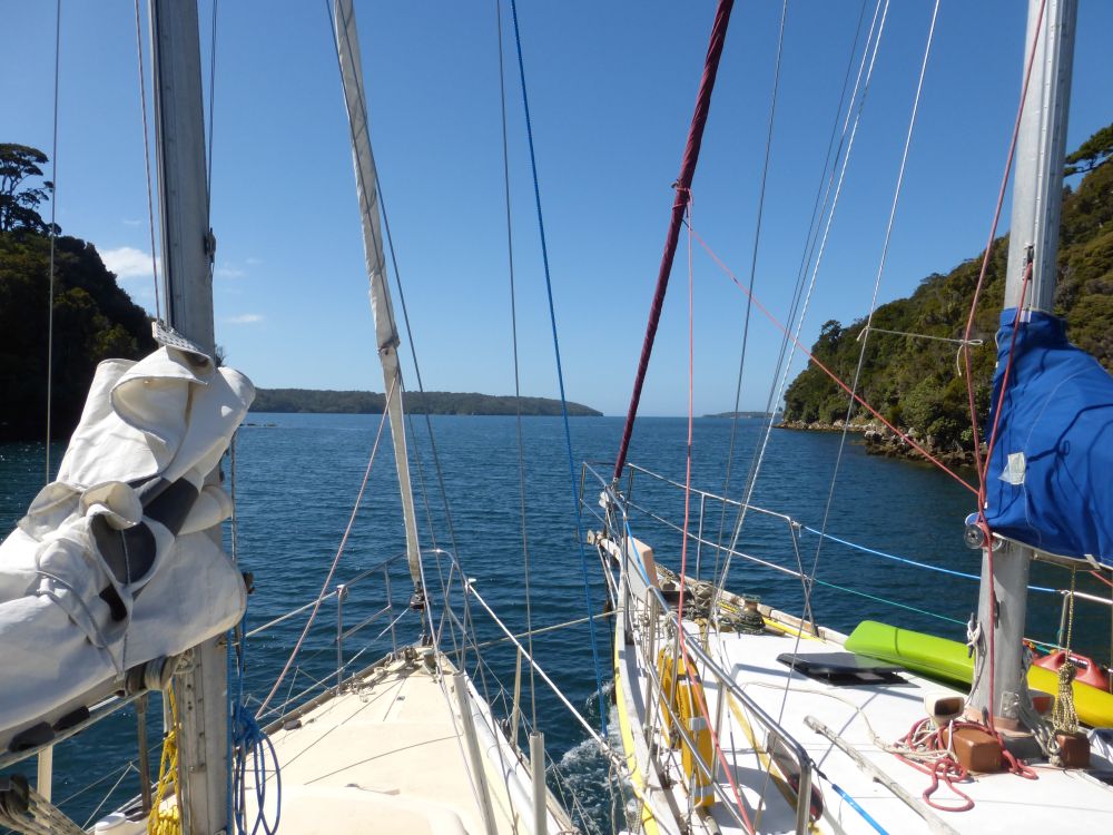 2017 Photo collection