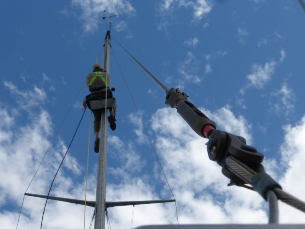 2017 Photo collection