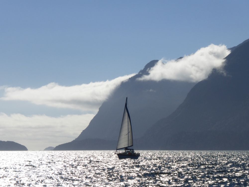 2017 Photo collection