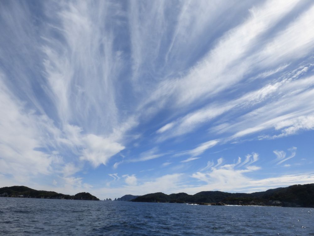 2017 Photo collection