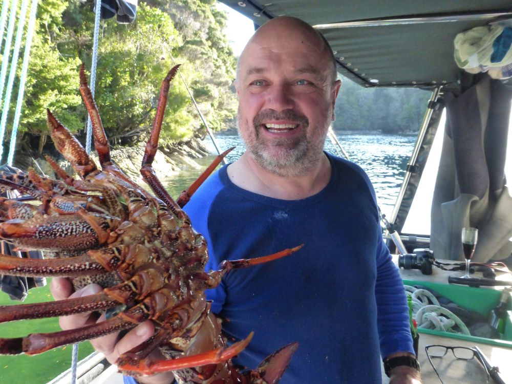 2017 Photo collection