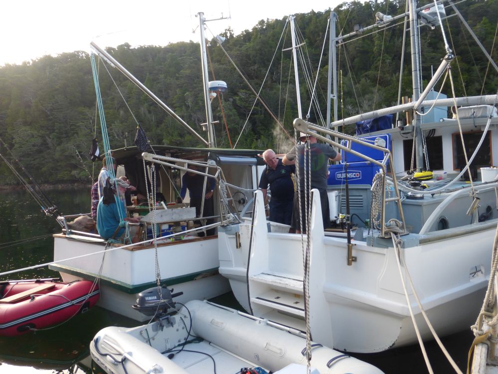 2017 Photo collection