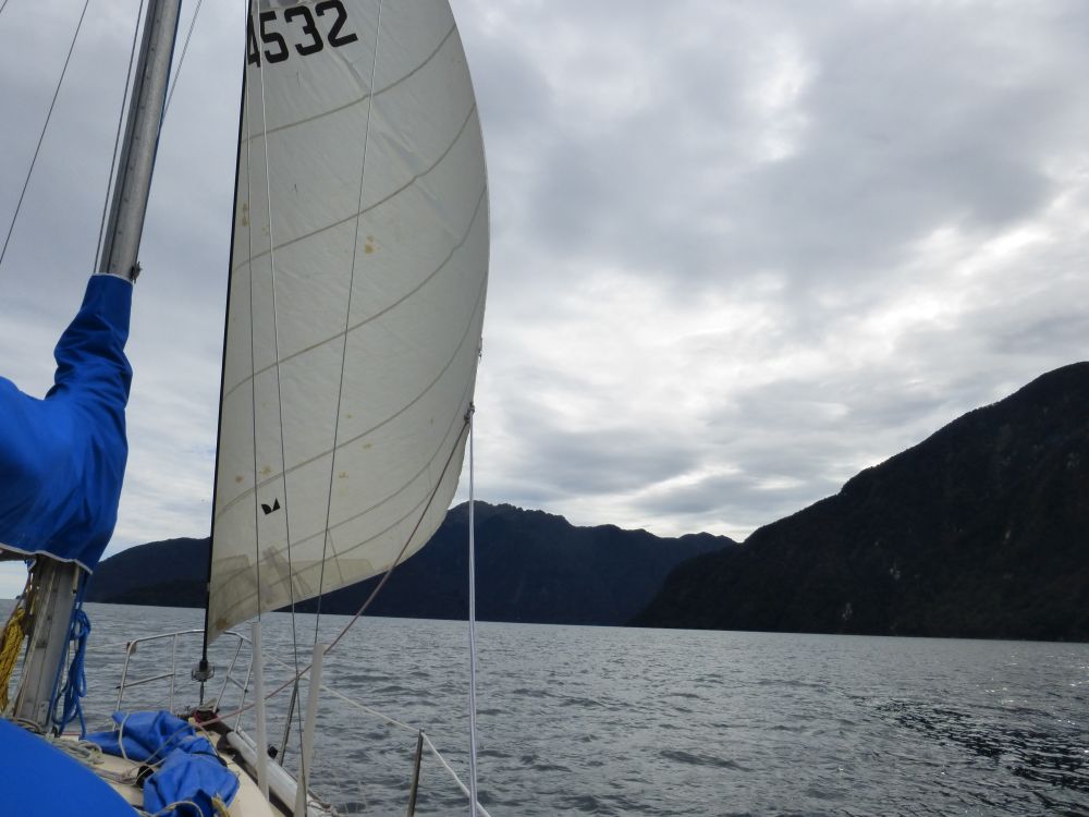 2017 Photo collection