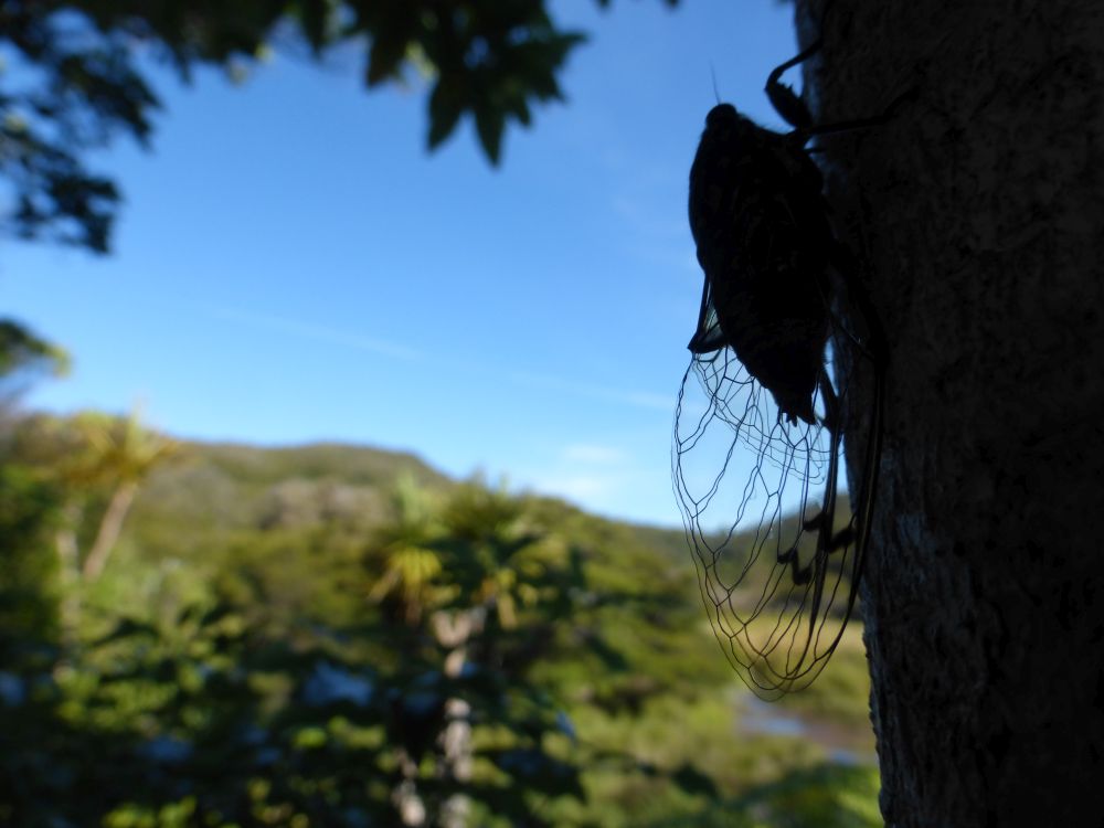 2017 Photo collection