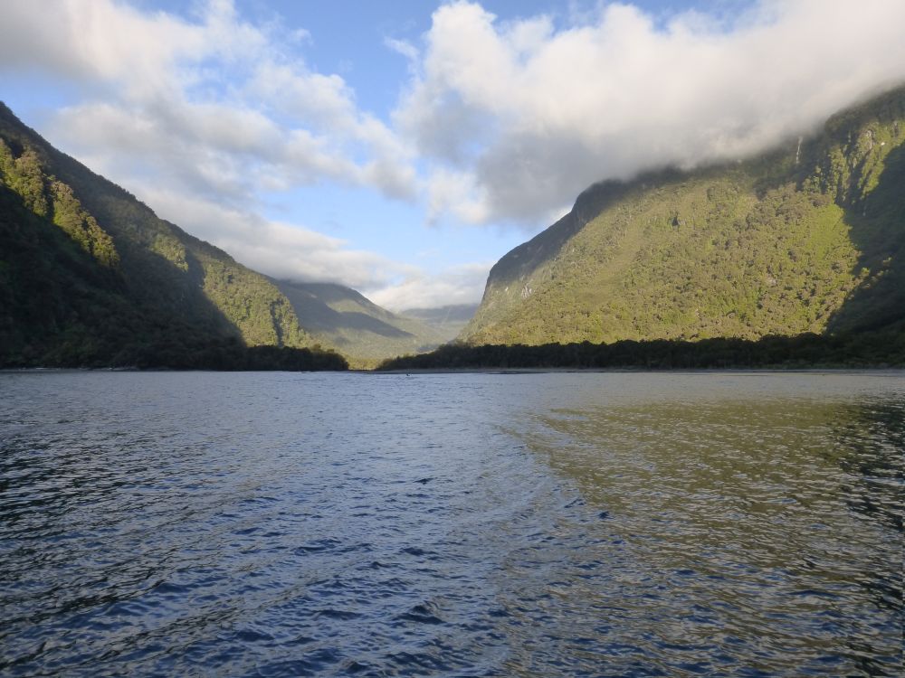 2017 Photo collection