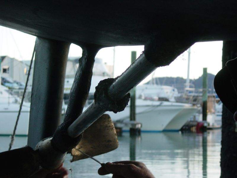 Earliest Photo collection